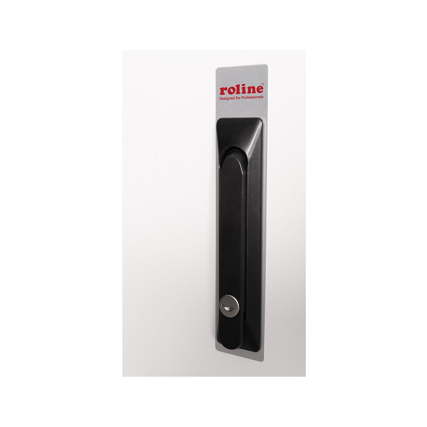 ROLINE 19-Zoll Wandgehuse Pro 12 HE. 600x450 BxT IP55 outdoor grau — Buy in Cyprus with Fast Delivery