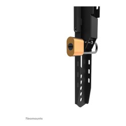 Neomounts LEVEL-750 WL30-750BL16 Wandhalterung starr — Buy in Cyprus with Fast Delivery