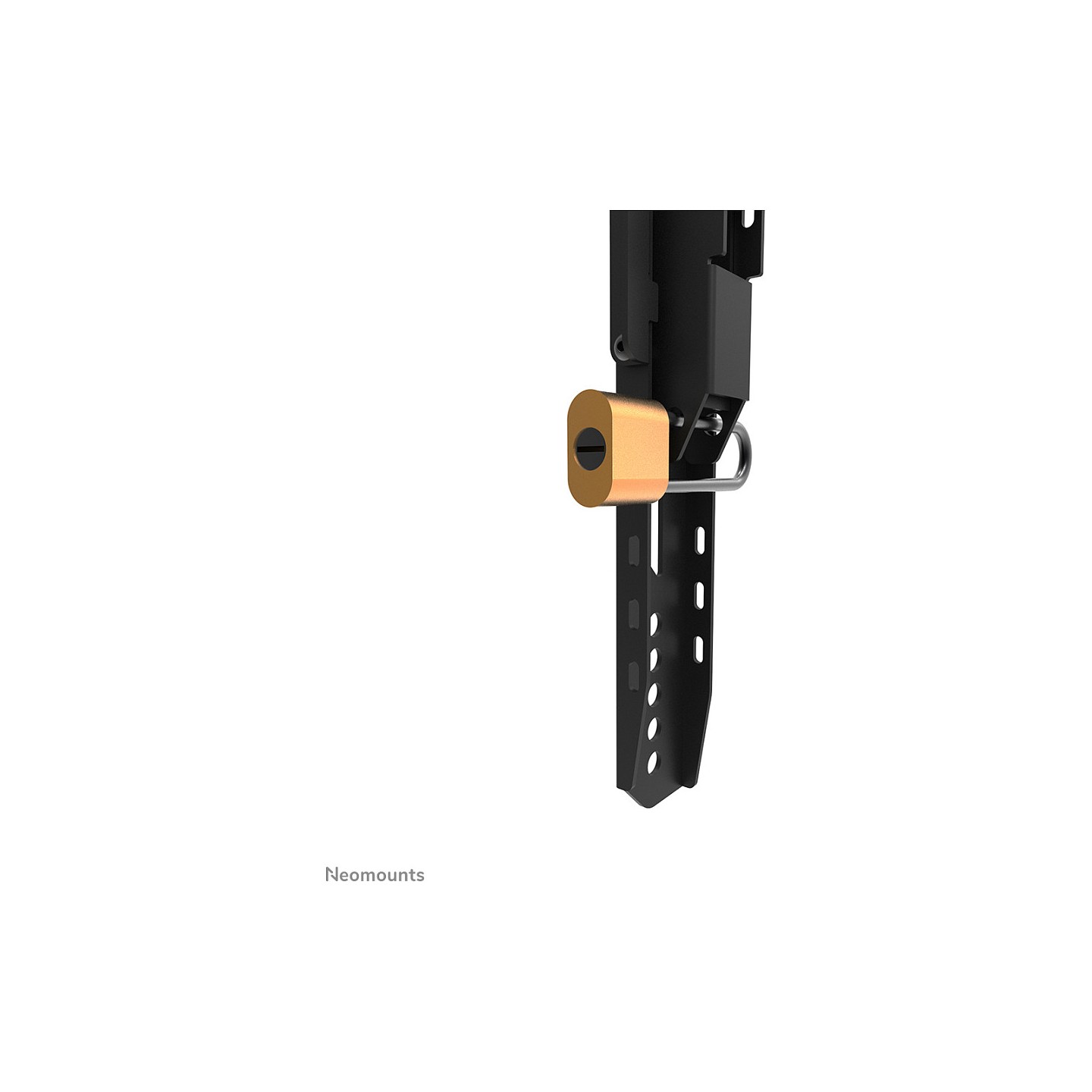 Neomounts LEVEL-750 WL30-750BL16 Wandhalterung starr — Buy in Cyprus with Fast Delivery