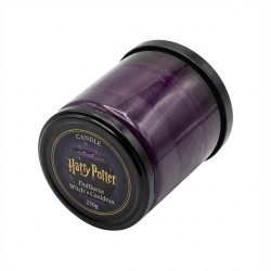 CANDLE Harry Potter Duftkerze Witch ́s Cauldron - 230g — Buy in Cyprus with Fast Delivery