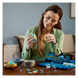 LEGO Ideas - Vincent van Gogh - Sternennacht — Buy in Cyprus with Fast Delivery