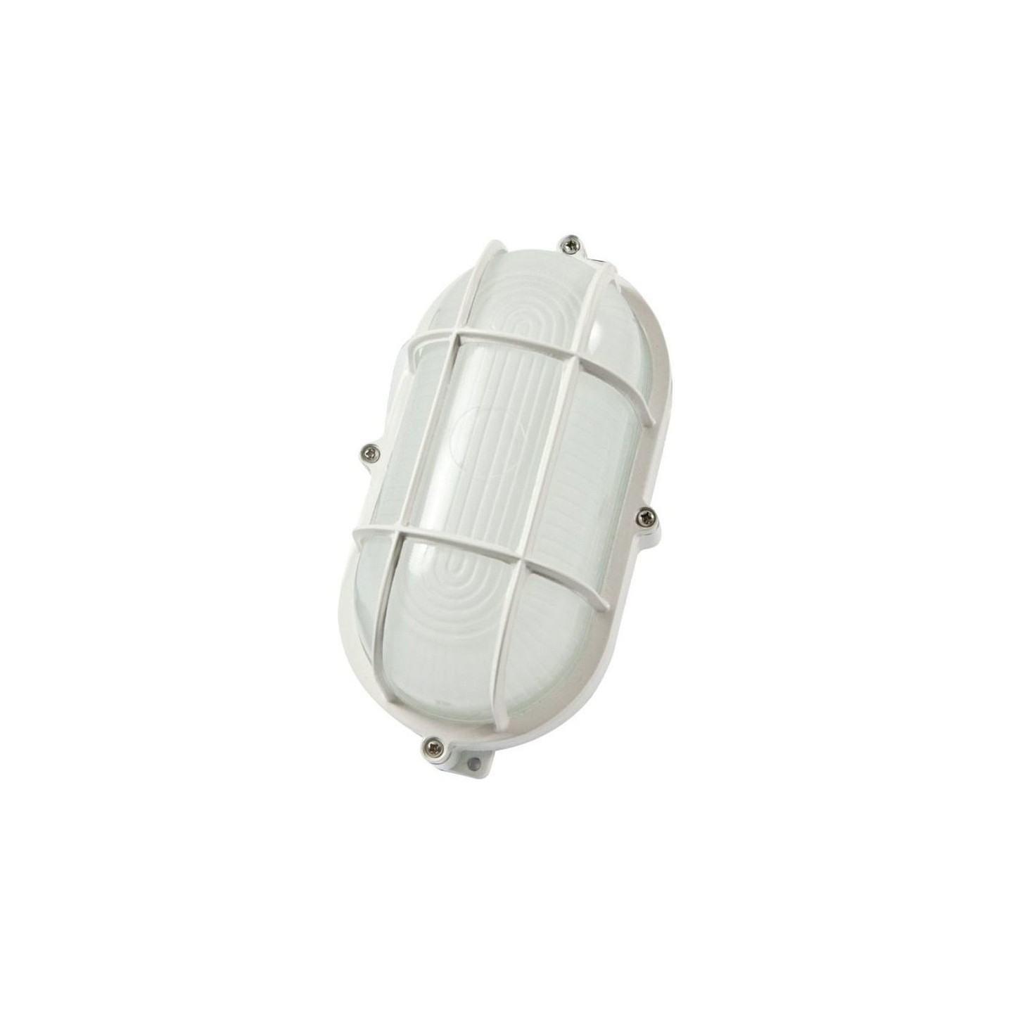 Synergy 21 LED Kellerleuchte oval IP65 5W cw — Buy in Cyprus with Fast Delivery