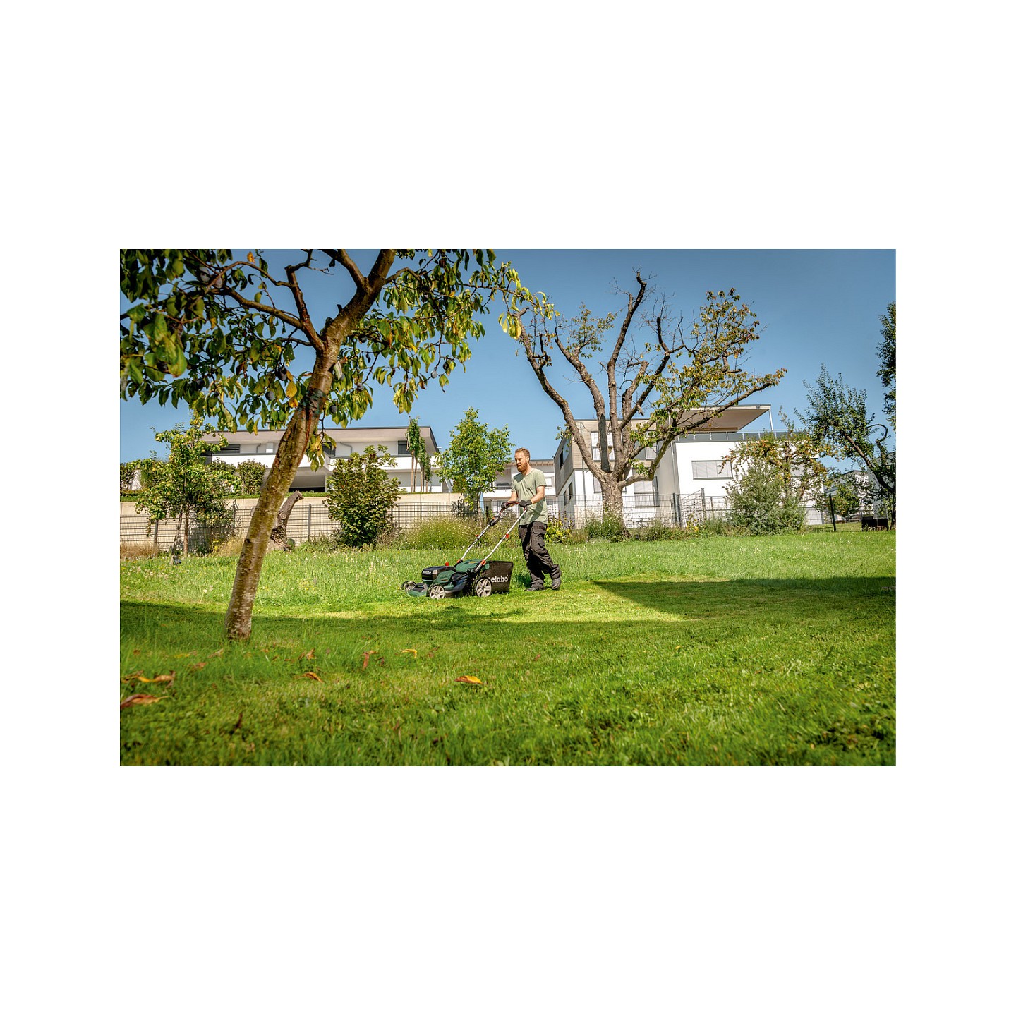 RM 36-18 LTX BL 46 solo Akku-Rasenmher — Buy in Cyprus with Fast Delivery