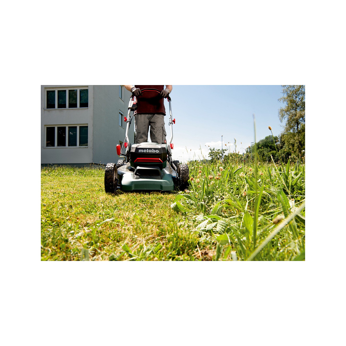 RM 36-18 LTX BL 46 solo Akku-Rasenmher — Buy in Cyprus with Fast Delivery