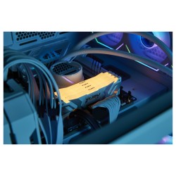 KINGSTON 32GB 6400MT s DDR5 CL32 DIMM FURY Renegade RGB White XMP — Buy in Cyprus with Fast Delivery