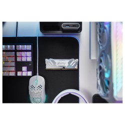 KINGSTON 32GB 6400MT s DDR5 CL32 DIMM FURY Renegade RGB White XMP — Buy in Cyprus with Fast Delivery