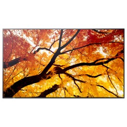 Sharp MultiSync M502 Digital Signage Display 125.7 cm 50 Zoll — Buy in Cyprus with Fast Delivery