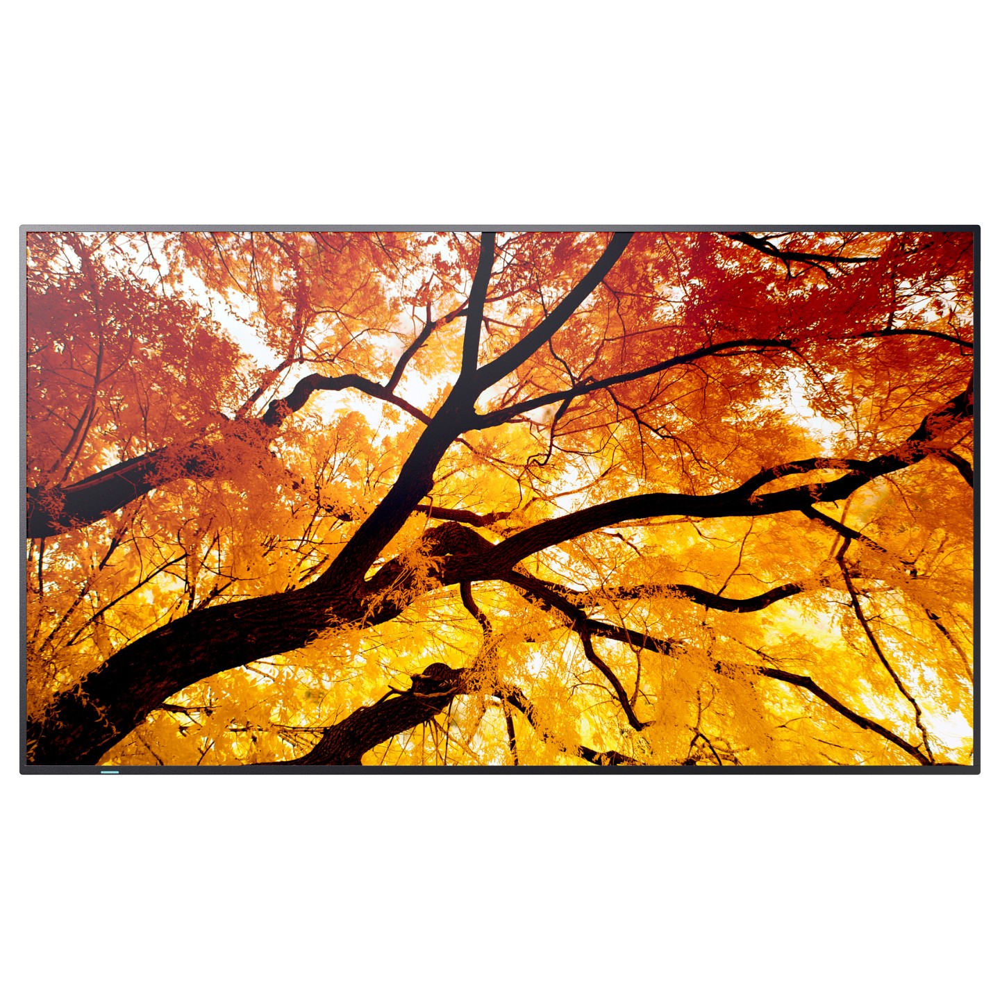 Sharp MultiSync M502 Digital Signage Display 125.7 cm 50 Zoll — Buy in Cyprus with Fast Delivery