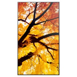 Sharp MultiSync M502 Digital Signage Display 125.7 cm 50 Zoll — Buy in Cyprus with Fast Delivery