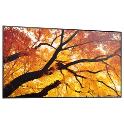 Sharp MultiSync M502 Digital Signage Display 125.7 cm 50 Zoll — Buy in Cyprus with Fast Delivery