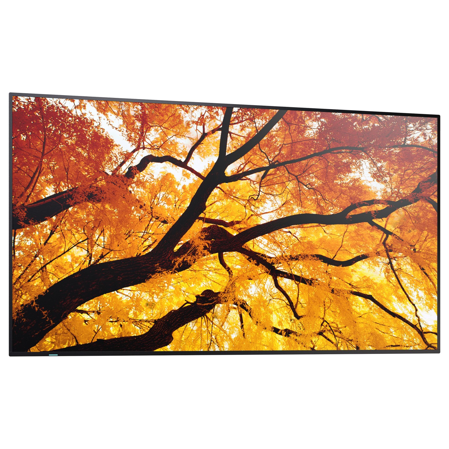 Sharp MultiSync M502 Digital Signage Display 125.7 cm 50 Zoll — Buy in Cyprus with Fast Delivery
