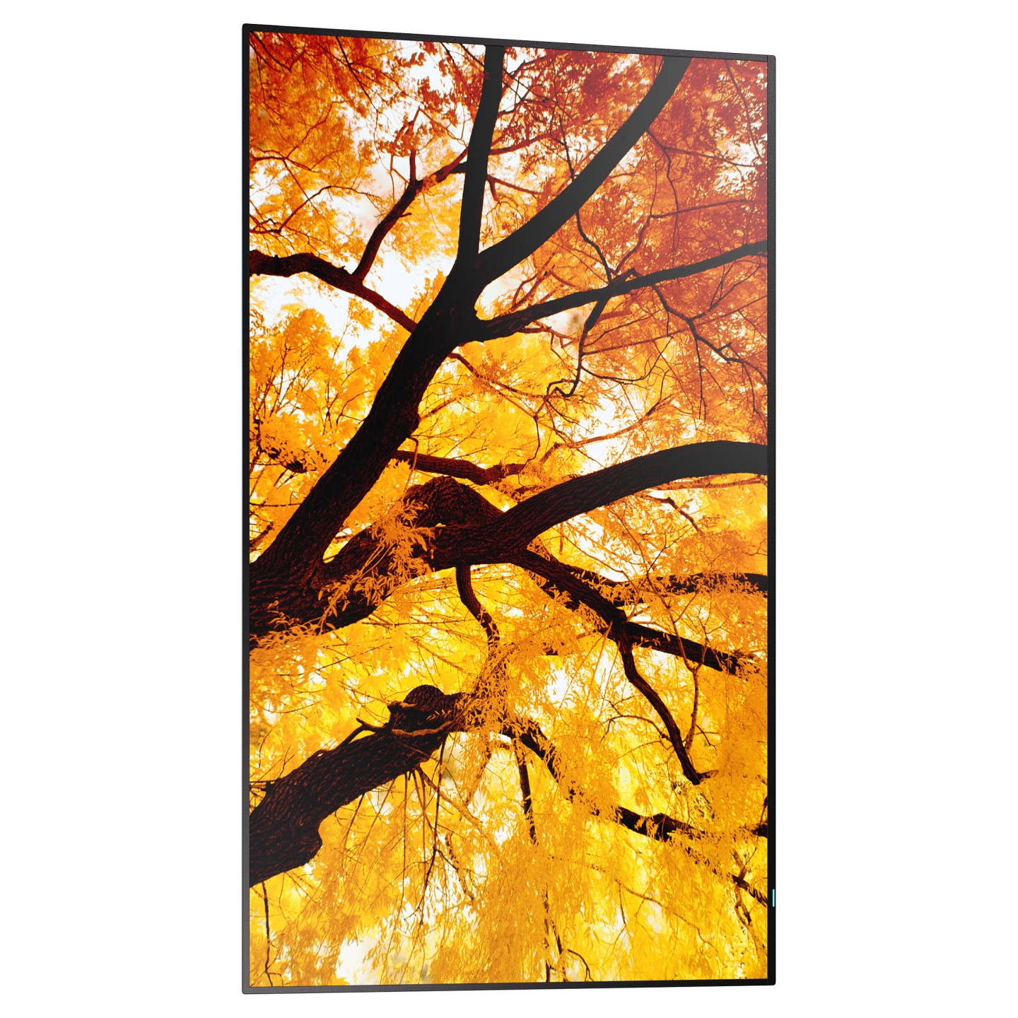 Sharp MultiSync M502 Digital Signage Display 125.7 cm 50 Zoll — Buy in Cyprus with Fast Delivery