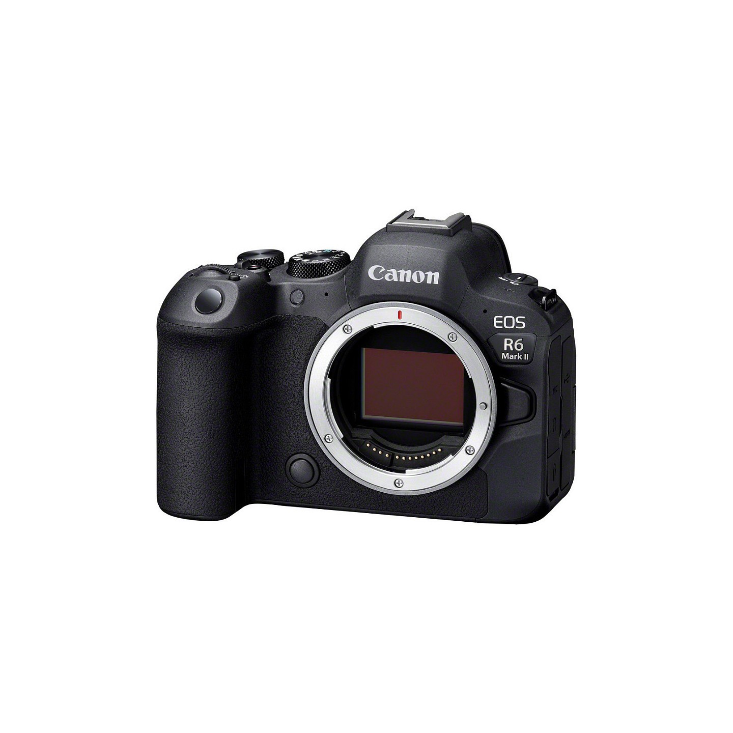 Canon EOS R6 Mark II 24.2 MP 6000 x 4000 Pixel (5666C004) — Buy in Cyprus with Fast Delivery