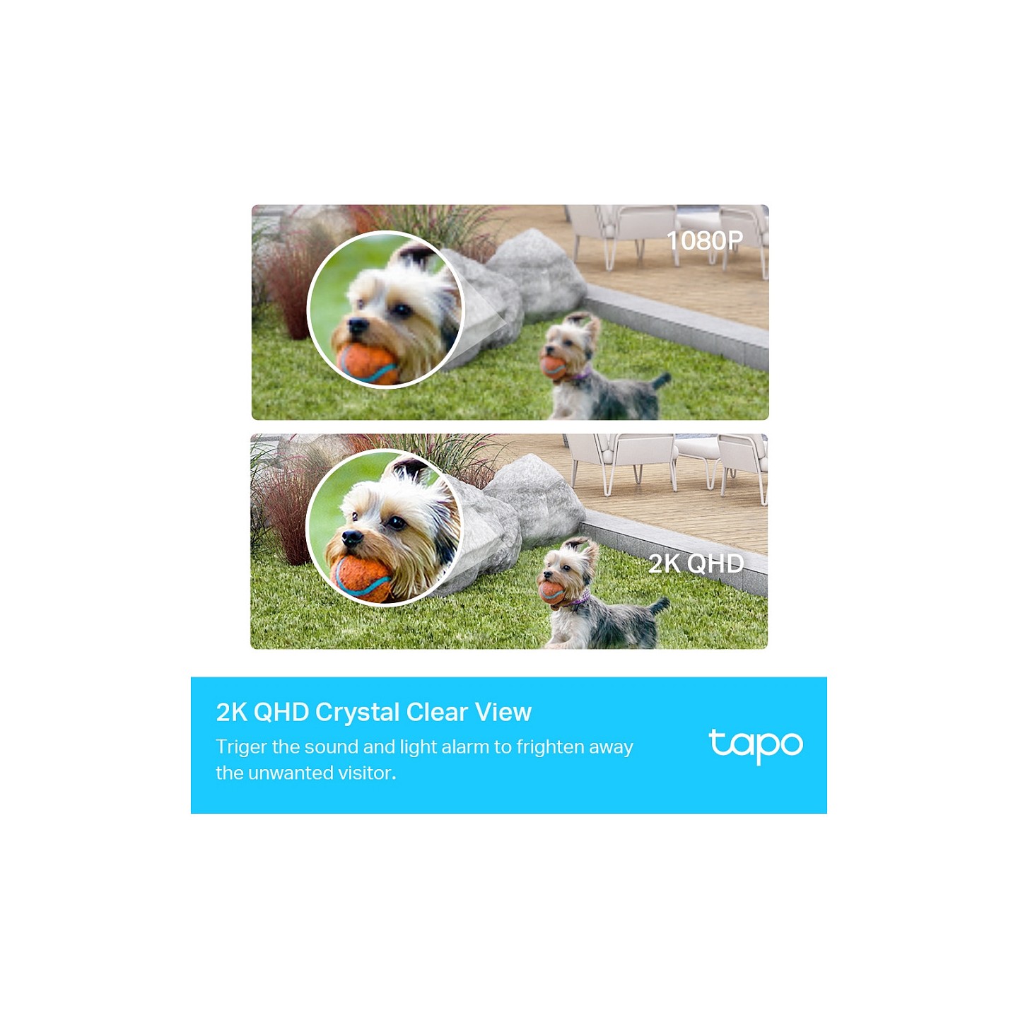 TP-LINK Tapo C420S1 - Überwachungskamera — Buy in Cyprus with Fast Delivery