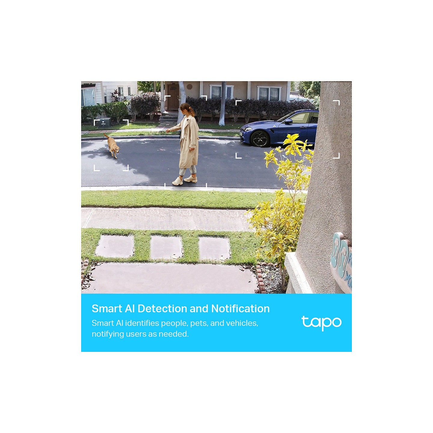 TP-LINK Tapo C420S1 - Überwachungskamera — Buy in Cyprus with Fast Delivery