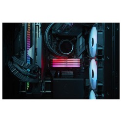 KINGSTON 48GB 6400MT s DDR5 CL32 DIMM FURY Renegade RGB XMP — Buy in Cyprus with Fast Delivery