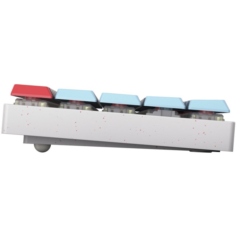 Buy CHERRY MX-LP 2.1 Compact Wireless Keyboard - 65% 2.4GHz + Bluetooth 5.2, Low... in Cyprus, Nicosia, Limassol, Larnaka, Pafos