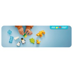 LEGO 10442 DUPLO Town Wildtier-Familien: Pinguine und Lwen — Buy in Cyprus with Fast Delivery