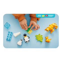 LEGO 10442 DUPLO Town Wildtier-Familien: Pinguine und Lwen — Buy in Cyprus with Fast Delivery