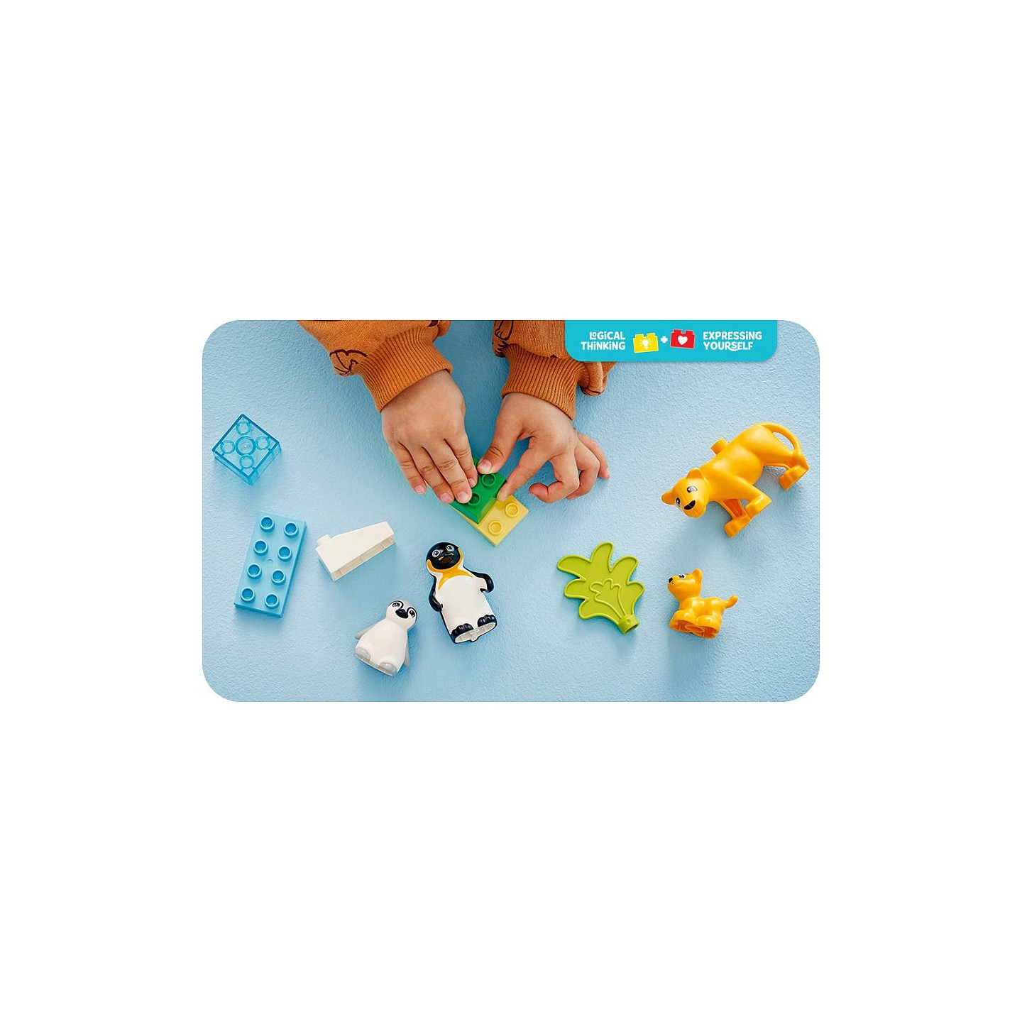 LEGO 10442 DUPLO Town Wildtier-Familien: Pinguine und Lwen — Buy in Cyprus with Fast Delivery