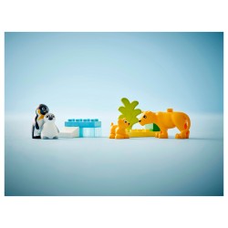 LEGO 10442 DUPLO Town Wildtier-Familien: Pinguine und Lwen — Buy in Cyprus with Fast Delivery
