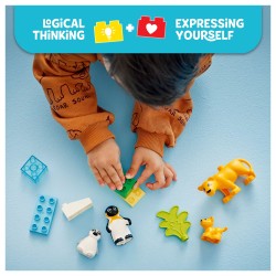 LEGO 10442 DUPLO Town Wildtier-Familien: Pinguine und Lwen — Buy in Cyprus with Fast Delivery
