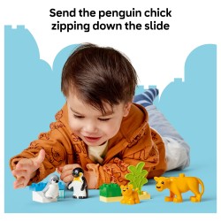 LEGO 10442 DUPLO Town Wildtier-Familien: Pinguine und Lwen — Buy in Cyprus with Fast Delivery
