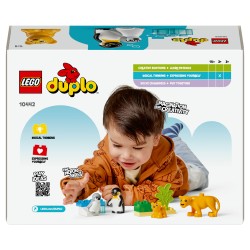 LEGO 10442 DUPLO Town Wildtier-Familien: Pinguine und Lwen — Buy in Cyprus with Fast Delivery