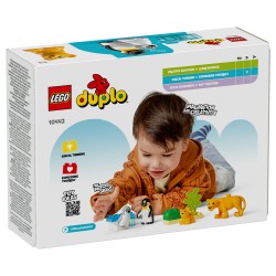 LEGO 10442 DUPLO Town Wildtier-Familien: Pinguine und Lwen — Buy in Cyprus with Fast Delivery