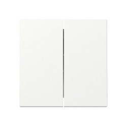 GIRA 329527 Wippe 2f System 55 Reinweiß m — Buy in Cyprus with Fast Delivery