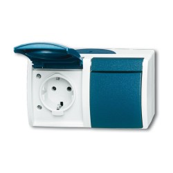 BUSCH JAEGER Ocean - Steckdose Klappdeckel 2-fach - AP grau blaugrün — Buy in Cyprus with Fast Delivery