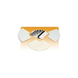 ZEBRA Plastikkarten 86x54mm 500St. weiss.PVC.10mil — Buy in Cyprus with Fast Delivery