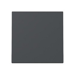 GIRA 329628 Wippe System 55 Anthrazit — Buy in Cyprus with Fast Delivery