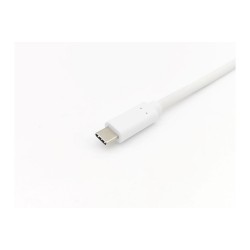Equip Kabel USB-C 3.2 - to C St St 2.00m 3A 20V ws — Buy in Cyprus with Fast Delivery