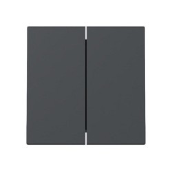GIRA 329528 Wippe 2f System 55 Anthrazit — Buy in Cyprus with Fast Delivery