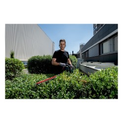HS 18 LTX BL 65 solo Akku-Heckenschere — Buy in Cyprus with Fast Delivery