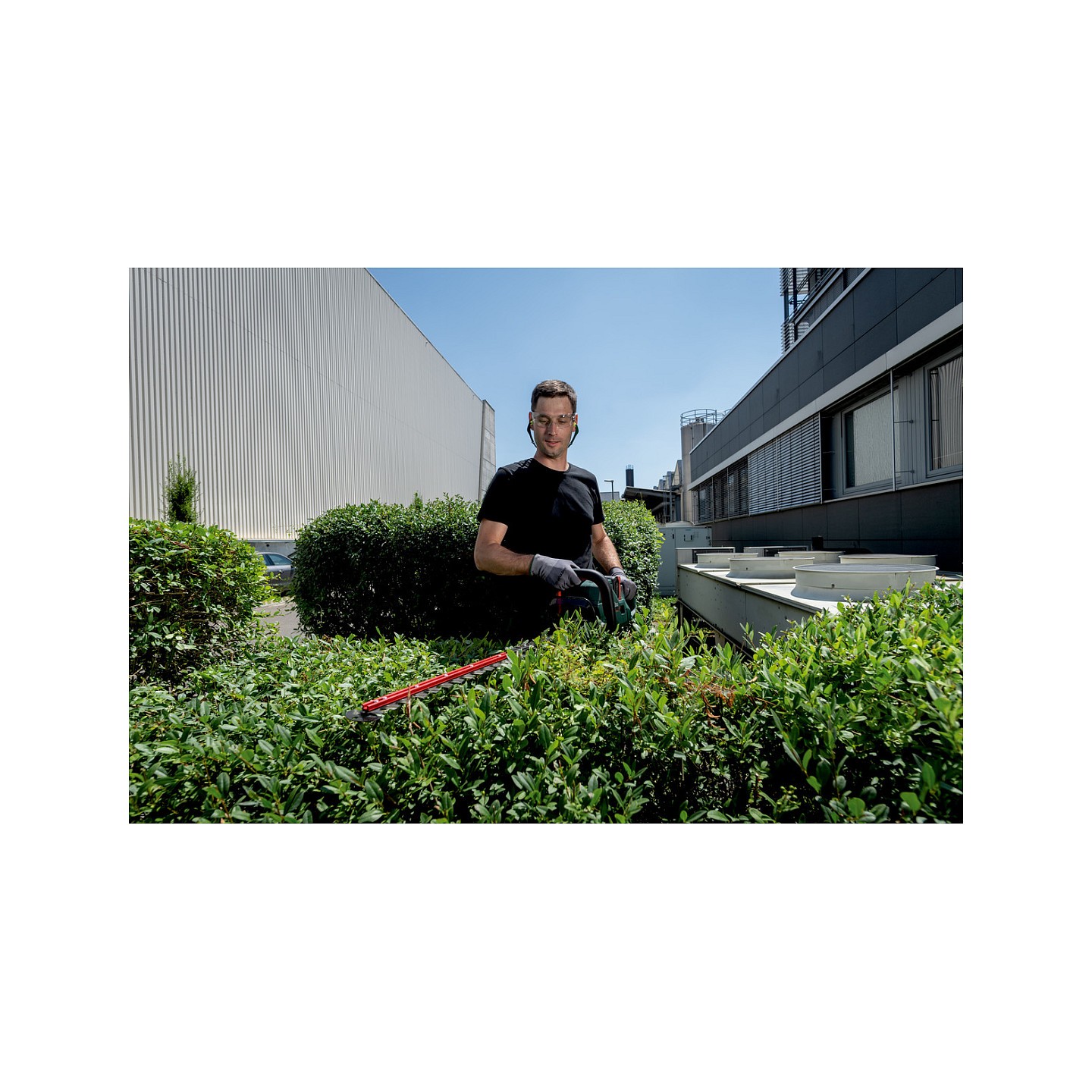 HS 18 LTX BL 65 solo Akku-Heckenschere — Buy in Cyprus with Fast Delivery