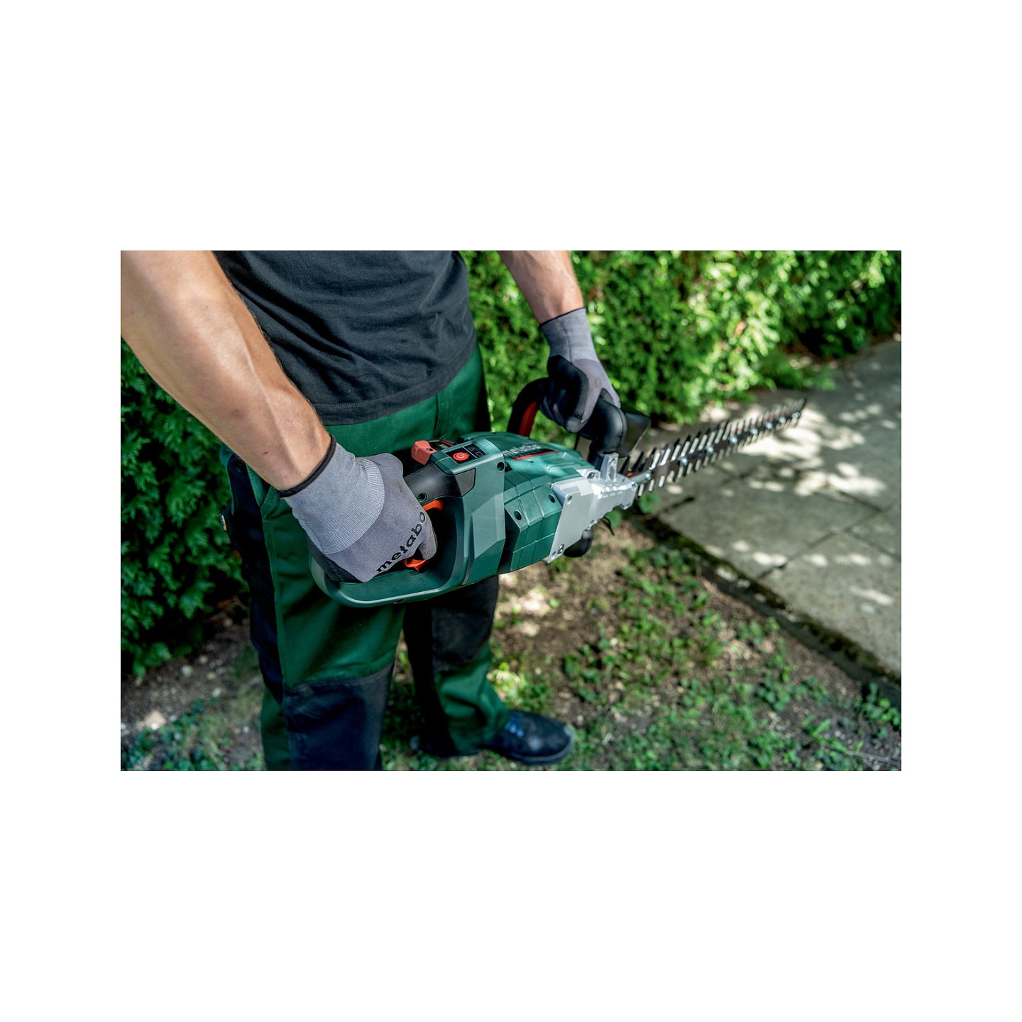 HS 18 LTX BL 65 solo Akku-Heckenschere — Buy in Cyprus with Fast Delivery