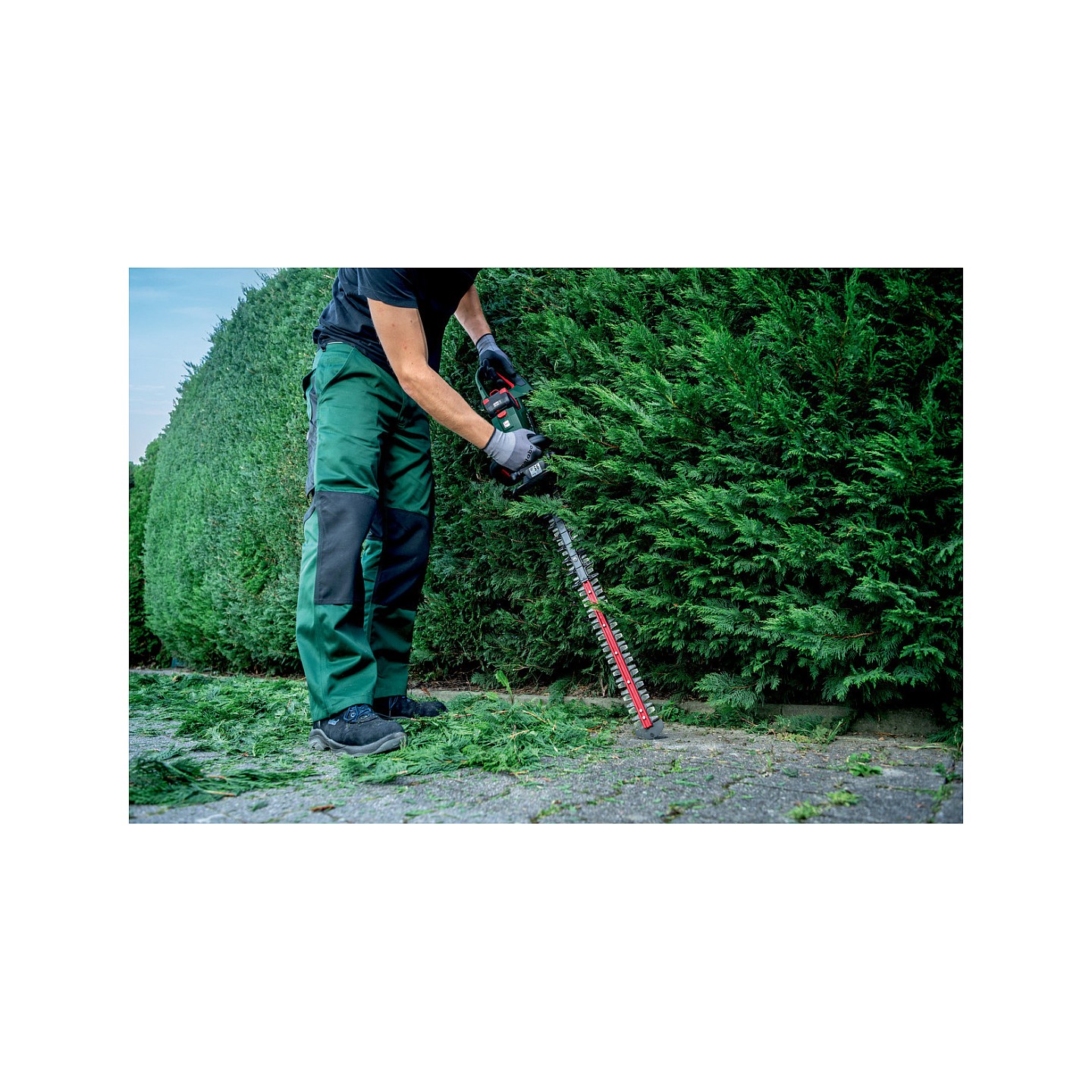 HS 18 LTX BL 65 solo Akku-Heckenschere — Buy in Cyprus with Fast Delivery