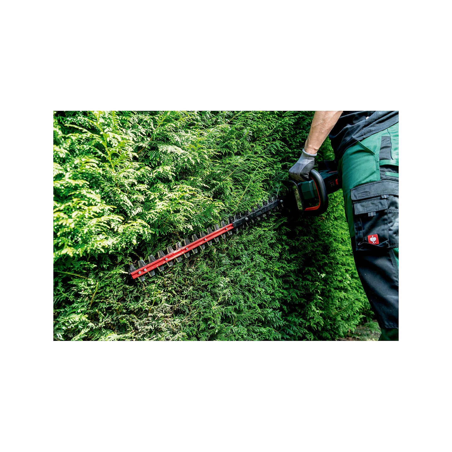 HS 18 LTX BL 65 solo Akku-Heckenschere — Buy in Cyprus with Fast Delivery