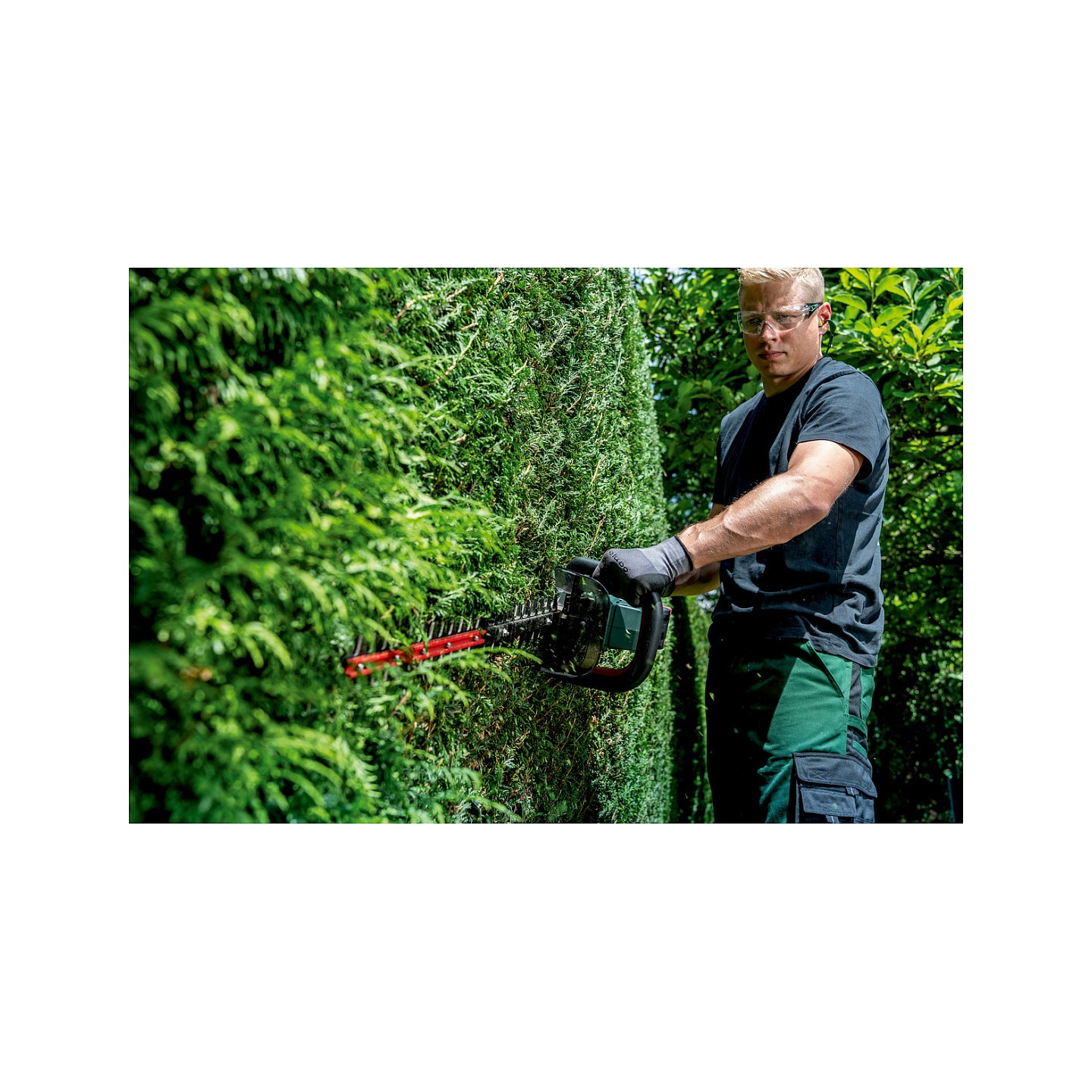 HS 18 LTX BL 65 solo Akku-Heckenschere — Buy in Cyprus with Fast Delivery