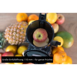 78275 Slow Juicer Sam — Buy in Cyprus with Fast Delivery