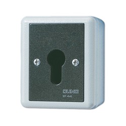 Jung 806.28 G AP WD-Schlüsselschalter 2p Wechsel- — Buy in Cyprus with Fast Delivery