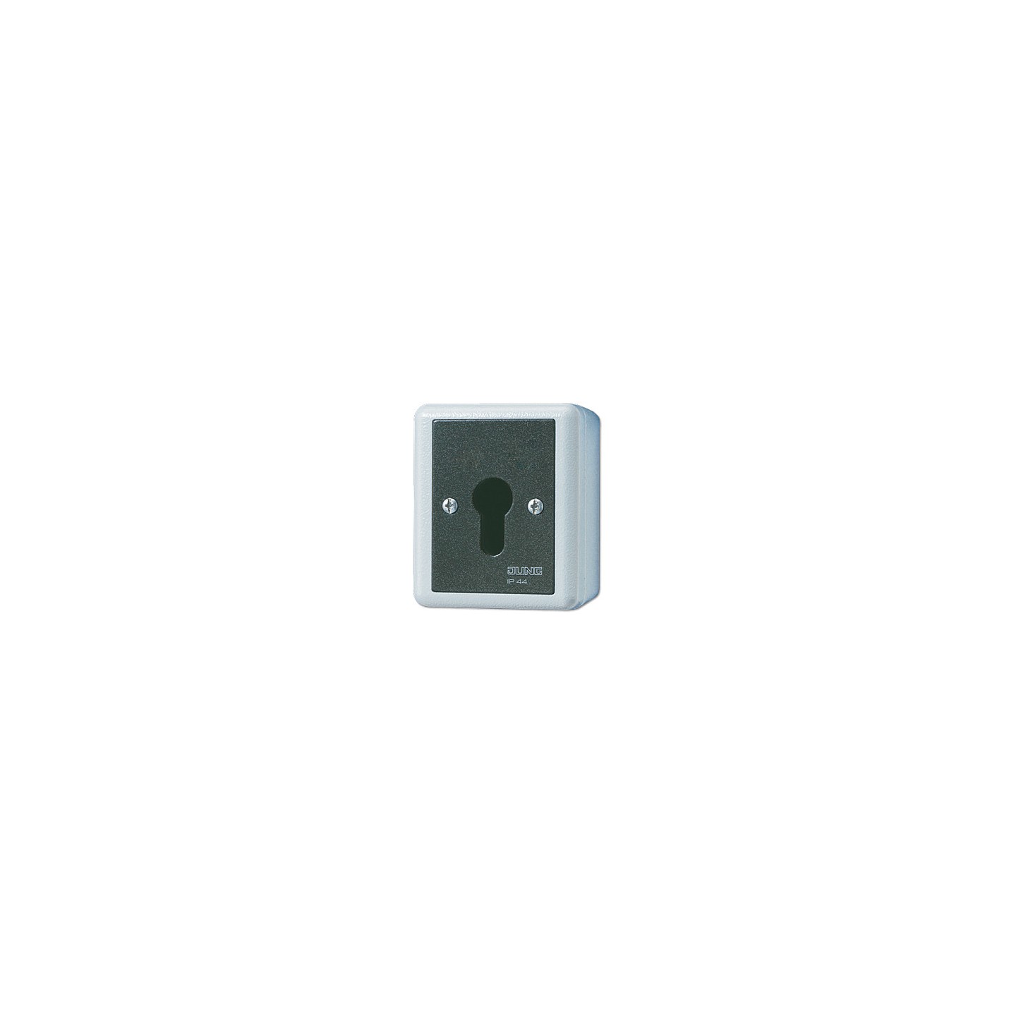 Jung 806.28 G AP WD-Schlüsselschalter 2p Wechsel- — Buy in Cyprus with Fast Delivery