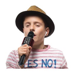 LENCO BMC-090 Karaoke-Mikrofon. schwarz — Buy in Cyprus with Fast Delivery