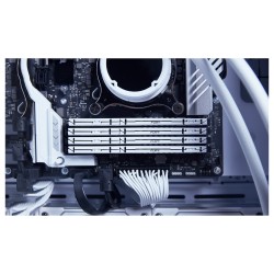 KINGSTON 16GB 6000MT s DDR5 CL36 DIMM FURY Beast White EXPO — Buy in Cyprus with Fast Delivery