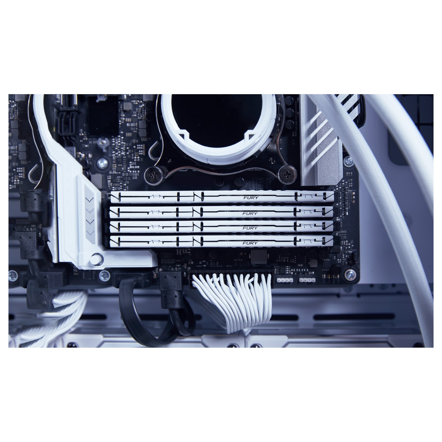 KINGSTON 16GB 6000MT s DDR5 CL36 DIMM FURY Beast White EXPO — Buy in Cyprus with Fast Delivery