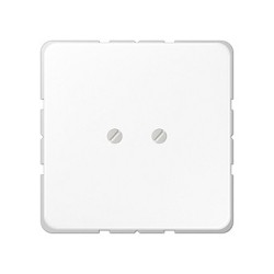 Jung CD 561B WW Blindabdeckung mit Tragring. Schraubbefestig. — Buy in Cyprus with Fast Delivery
