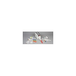 Zebra Z-Band Direct - Polypropylene (PP) - permanent acrylic adhesive - perforated - 6 mil - pink. b