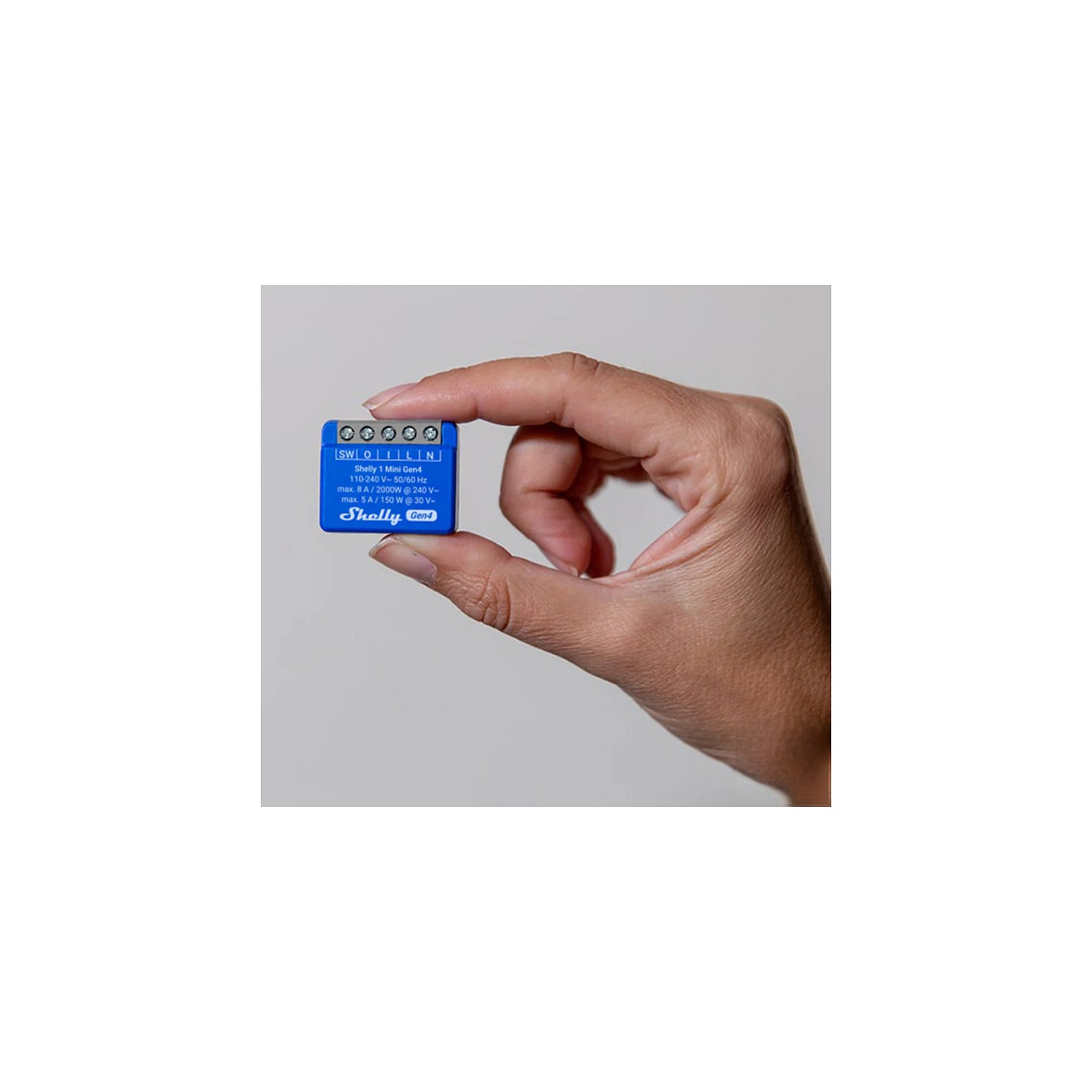 Shelly Relais '1 Mini Gen4' WLAN BT max. 8A 1 Kanal WLAN Matter Zigbee Bluetooth Unterputz — Buy in Cyprus with Fast Delivery